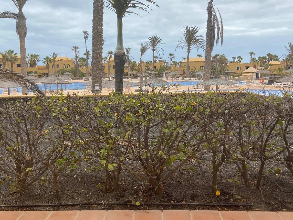 Oasis Papagayo Apartamentos Corralejo Apartment